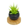 Simulación Nórdica Simple Creativa Mini Suculenta Planta en Maceta Pequeña Adornos Decoraciones para Escritorio de Hogar Oficina