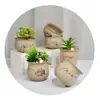 Cerâmica Queimada Lisa de Grés Flor de Carne Flor de Ameixa Orquídea Bambu Crisântemo Aplique Respirável Vaso para Plantas Verdes de Jardinagem Origem Atacado