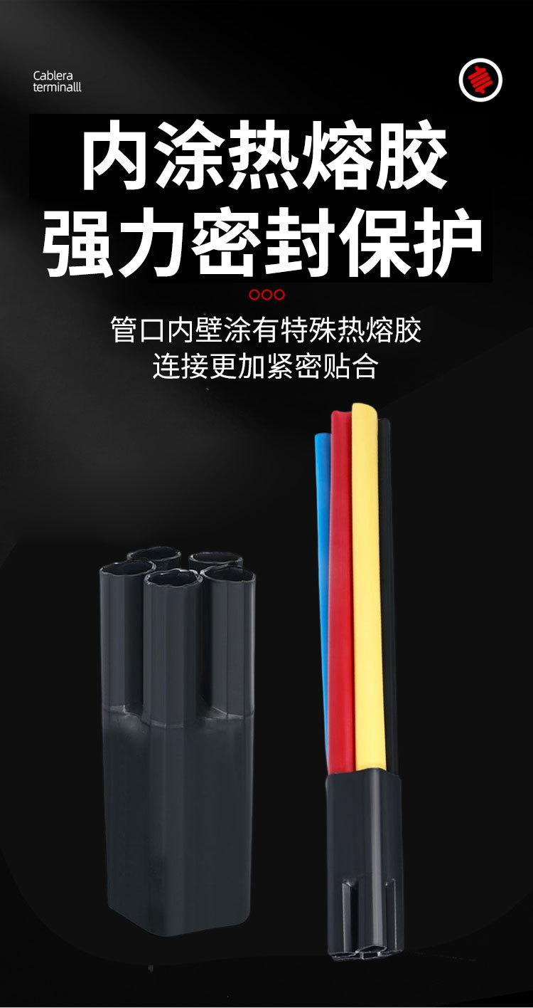 35kv_05.jpg