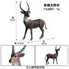 Simulación Cognitiva Animal Sólido Aves de Corral Ganado Burro Modelo Cría Burro Manchado Burro Juguete Burro Adornos