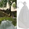 Sacos de Frutas Não Tecidos Sacos de Uva para Prevenção de Pássaros e Insetos, Sacos de Frutas Impermeáveis com Amarra Especial, Ensacamento de Mudas em Estoque
