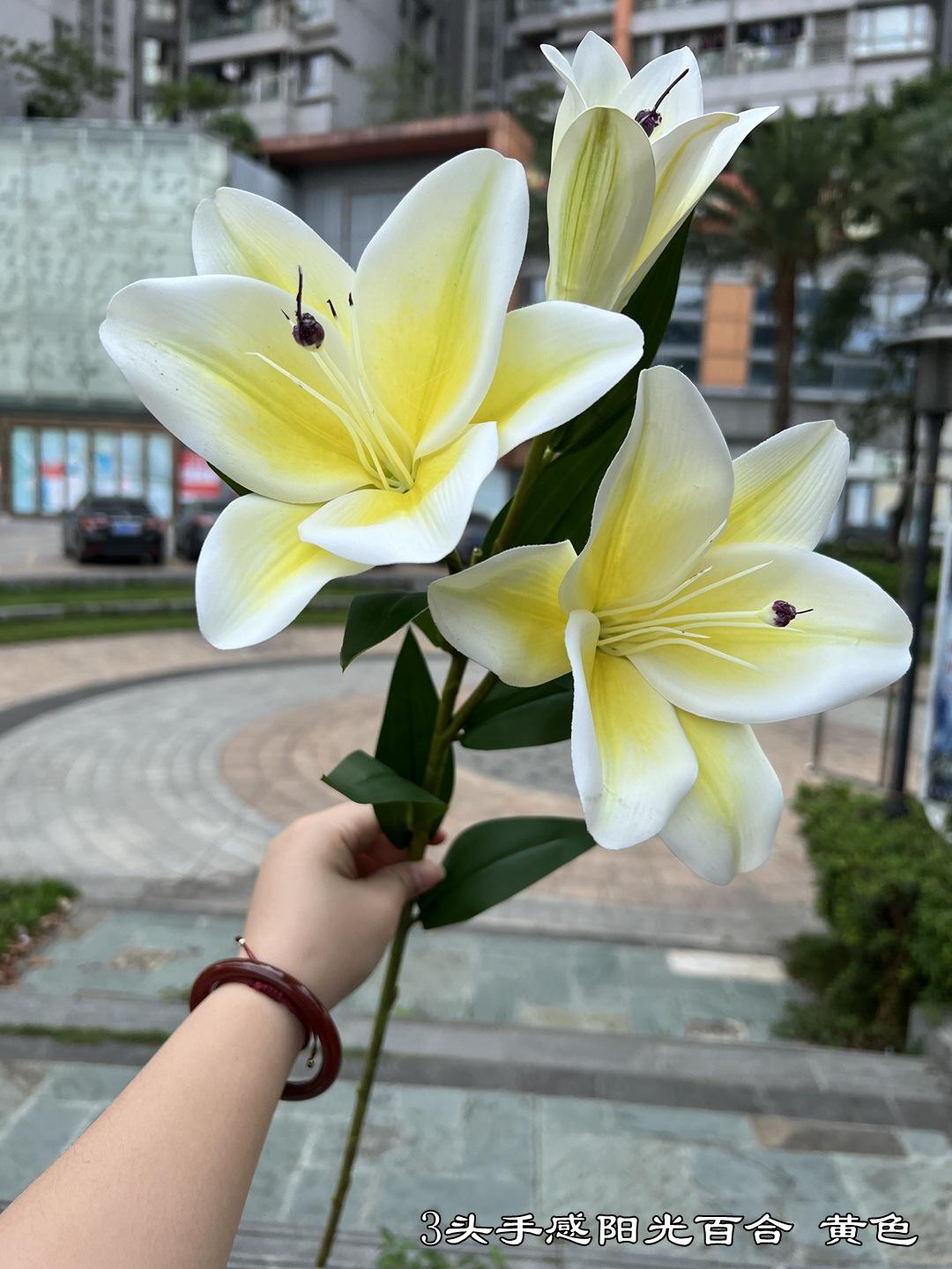 微信图片_20220605143001.jpg