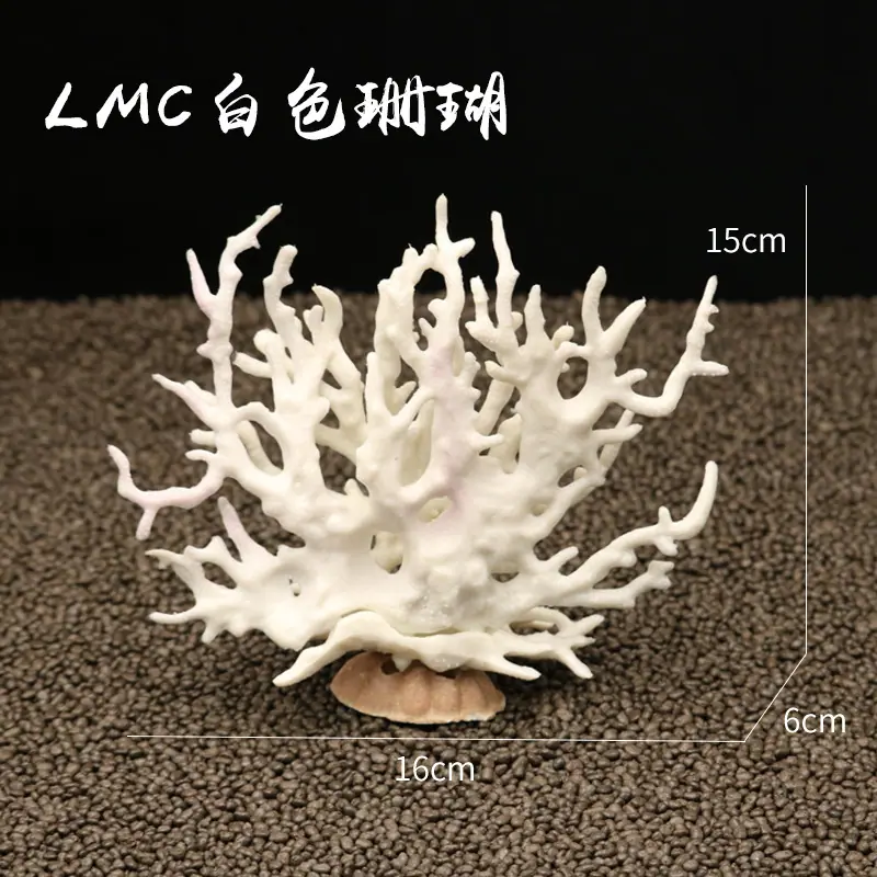 LMC白色珊瑚尺寸