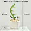 Enfeites de mesa artesanais em vidro com flores de jacinto suculentas esmaltadas, plantas artificiais criativas para micropaisagens.