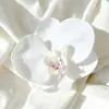 Orquídea Borboleta Simulada Cabeça de Flor Grampo de Cabelo Faixa de Cabeça Acessórios de Cabelo Roupas Acessórios para Sapatos Materiais Acessórios Flor Simulada Cabeça de Flor