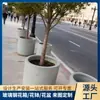 Vasos de Flores Redondos Grandes de Fibra de Vidro para Paisagismo de Ruas Municipais, Floreiras Resistentes ao Tempo para Plantio de Árvores com Aparência de Cimento, Feitos Sob Medida