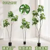Árbol de Dinero Artificial Grande de Piso Planta Verde Falsa Bonsái para Decoración de Interiores de Oficina y Centro Comercial Arreglos y Proyecto Decoración Suave