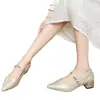 Sapatos Mary Jane femininos de bico fino e corte baixo com salto médio, salto grosso, modelo novo da primavera de 2026, salto alto com fivela de corrente, versátil