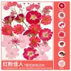 Paquete de Materiales DIY de Flores Secas Flores Prensadas Hechas a Mano Flores Conservadas Marcadores de Libros de Flores Prensadas Hojas de Árbol Real Plantas Pegatinas de Resina Maquillaje Facial