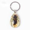 Llavero luminoso con colgante de resina transparente de alta calidad con forma de gota de insecto natural enterrado, venta al por mayor, de fábrica de alta resistencia