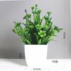 Plantas Simuladas de Venta Caliente Transfronteriza, Plantas Falsas, Plantas Verdes, Decoración Interior y Exterior Plástico Macetado Eucalipto Plantas Pequeñas en Maceta