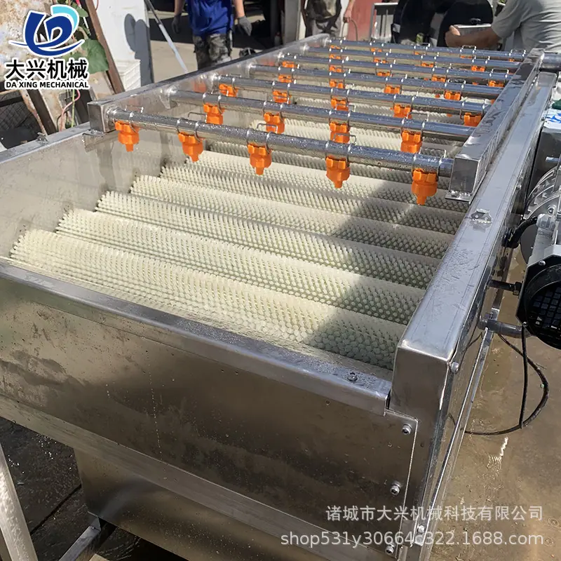 平行毛辊清洗机7 副本.jpg