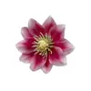 Flores artificiales de rosa silvestre pequeña, flores falsas de tela de seda, accesorios para ropa DIY, materiales para regalos, decoraciones de pared de flores para bodas