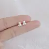 Pendientes de Plata de Ley 925 Estilo Nuevo Primavera Verano Pequeños Celebridad de Internet Douyin Más Vendidos Pendiente Simple Moderno Estudiante Mujer Noche