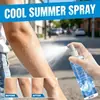 Kineshinexkineshinex Spray Refrescante para Carro para o Verão, Resfriamento Rápido no Carro com Gelo Seco para Resfriamento Instantâneo