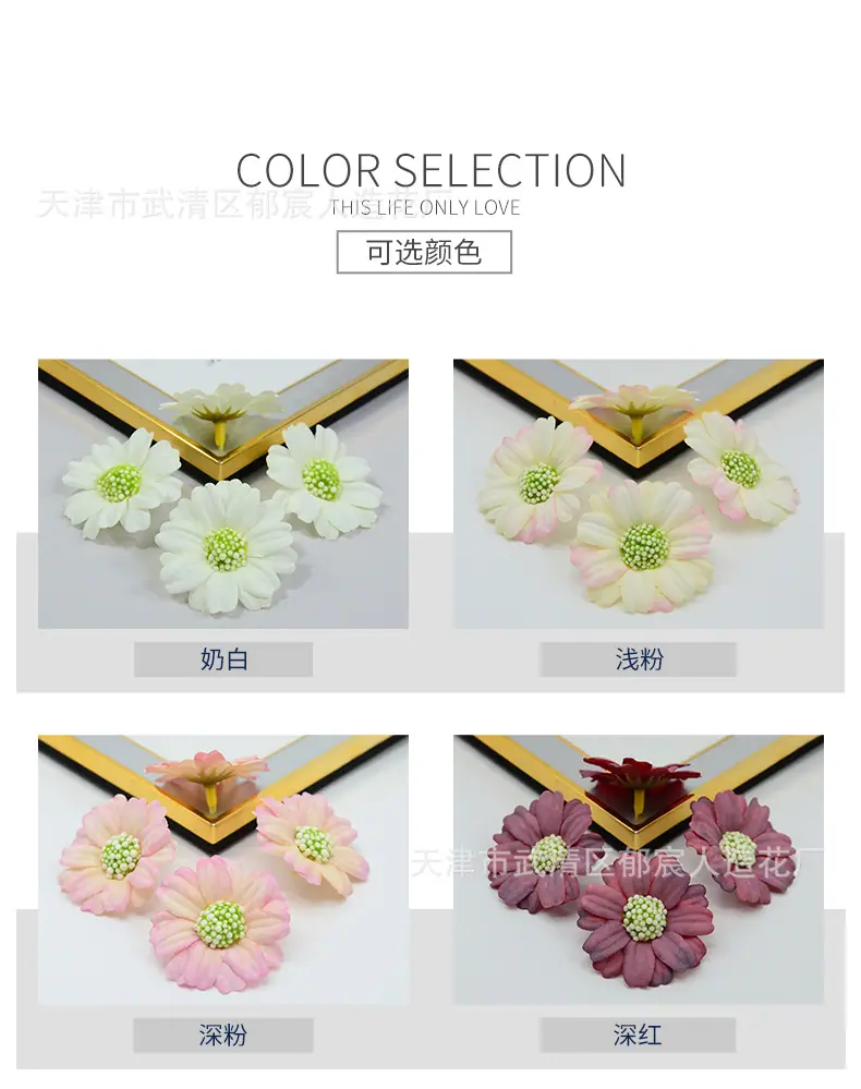 详情_02.jpg
