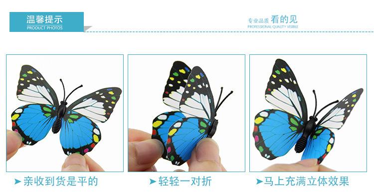 蝴蝶1_05.jpg