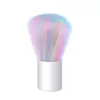 Fábrica Nail Art Pen Venda por atacado Rainbow Bristle Dust Brush colorido Cerdas Pó escova Short Handle Nail Cleaning Brush