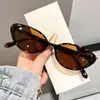 Gafas de Sol Retro Ojo de Gato para Mujer Versátiles de Moda Gafas de Estilo Sensación de Alta Gama Adelgazantes de Rostro Gafas de Sol con Protección UV Hombres