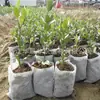 Bolsas de Protección para Plantas, Tela No Tejida para Árboles Cítricos, Tela Aislante, Impermeable, Transpirable, Resistente al Frío, Resistente a las Heladas, Tela No Tejida para Viveros de Uso Agrícola