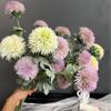 En stock, venta al por mayor, clavel, flor artificial, diente de león, hogar, sala de estar, flor falsa suave, fotografía de boda, arreglo floral decorativo