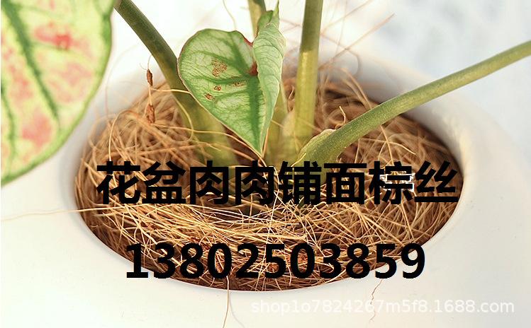 6e73096aba5f3ff336445fb263ea6d