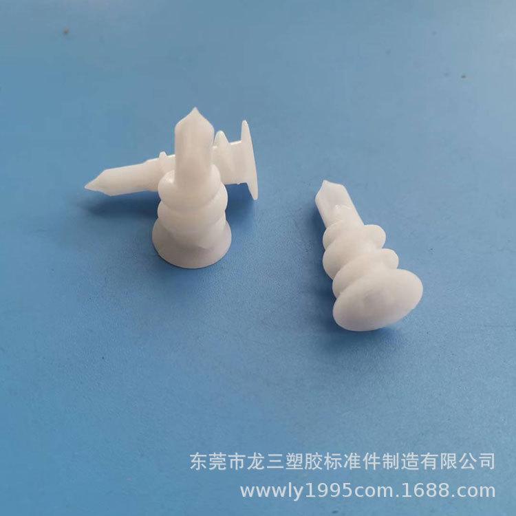 螺旋壁虎15-3.jpg