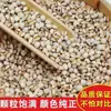 Arroz com Semente de Coix 500g Arroz Novo da Fazenda de Guizhou, Grãos Integrais Produzidos Frescamente Arroz com Semente de Coix Arroz com Semente de Coix