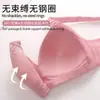 Nuevo Sujetador Jacquard Fino de Taza Grande para Exportación para Mujeres de Mediana Edad y Mayores, Push-Up de Copa Completa, Sin Imán, Sin Aros, Ropa Interior Sexy