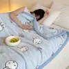 Manta Raschel de camada dupla e espessa para outono e inverno, adequada para quartos de dormitório, cochilos de estudantes, decoração de sofá e como um cobertor quente.
