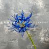 Flor Bi'an artificial chuva vento flor manzhusha azul flor artificial decoração de casamento flor estilo antigo adereços de foto hanfu transfronteiriço