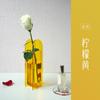 Venta de liquidación: Florero Geométrico Adorno Decorativo Creativo para Sala de Estar Artesanías Acrílico Entrada Arreglo Floral Florero Decorativo