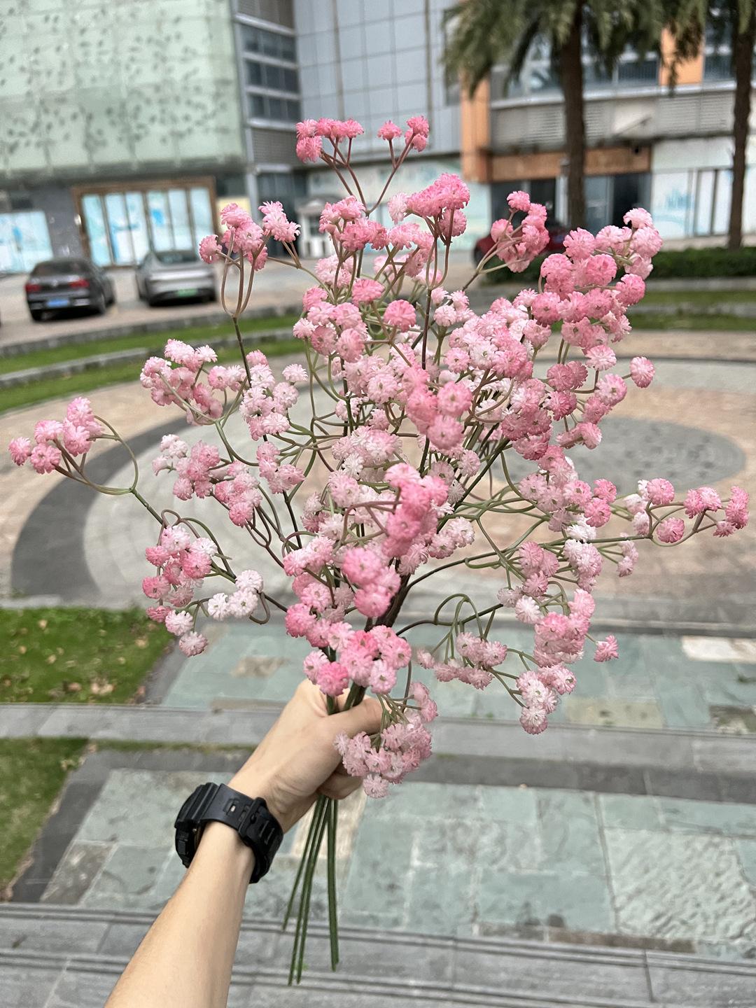 微信图片_20230412170733.jpg