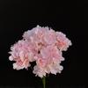 5 Buquês de Hortênsias Artificiais Sonhadoras Decoração de Salão de Casamento Flores Artificiais de Teto Decoração de Parede de Hortênsias Hortênsia Artificial