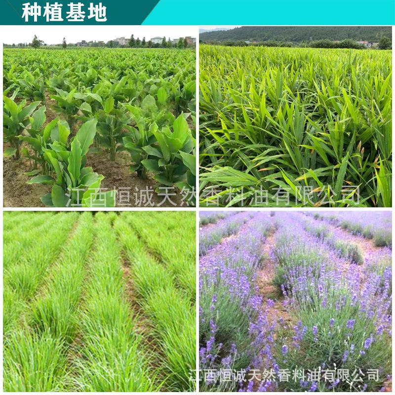 种植基地 新.jpg