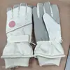 Guantes de Esquí para Mujer 2026 Nuevo Estilo Otoño e Invierno, Forrados de Felpa, Engrosados, Cálidos, Cortavientos, Compatibles con Pantalla Táctil, para Montar en Bicicleta Eléctrica