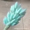 Rabo de Conejo Seco Flor Seca Ramo Flor Real Flor Inmortal Hierba de Cola de Perro Decoración del Hogar Materia Prima Fábrica Disparo Accesorios