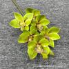 Orquídea Cimbal Simulada de 6 Cabeças Filme Estéreo 3D com Sensação de Filme Grande Orquídea Cimbal Flor Artificial Arranjo de Flores de Casamento Balde de Abraço Material de Flor