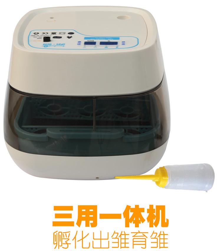 16枚白色-拷贝_11