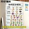 ¿Cómo distinguir las pegatinas decorativas magnéticas de fibra de carbono de alta calidad que aumentan la saciedad de las pegatinas magnéticas acrílicas planas para refrigerador?