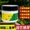 Fosfato Monopotásico, Fertilizante Foliar Multielemento, Fertilizante de Enraizamiento y Floración, Fertilizante de Fósforo, Fertilizante Orgánico Líquido Agrícola, Completamente Soluble en Agua