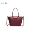 Bolsa tote minimalista urbana para o dia a dia, bolsa de ombro versátil de grande capacidade, porta-moedas Longchamp, bolsa de mão disponível