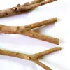 Suporte para papagaio Suporte de haste Barra escada Pau de dente de papagaio Brinquedo Pau de lixar garra Pau de lixar Brinquedo de lixar Suprimentos para pássaros Suporte Haste