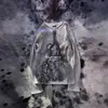 Estilo Ins Invierno Nueva Moda Tendencia Estampado Callejero Cuello Redondo Sudadera Camiseta Unisex Ropa Transfronteriza Europea y Americana