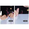 Papel ligero suave papel fotográfico papel de pantalla de luz suave como la mantequilla disparo un juego completo de absorción de luz fotográfica lágrima