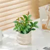 Plantas Verdes em Vasos para Uso Interno em Salas de Estar e Escritórios, Fáceis de Manter, Perenes e Eficazes na Purificação do Ar