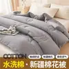 Colcha 100% algodón puro de Xinjiang, funda de colcha gruesa para dormitorio, colcha de invierno, regalo de exportación, núcleo de colcha de primavera y otoño, fábrica
