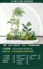 Set de Paisajismo Simulado para Exhibidores de Ventanas Interiores, Decoración de Escaleras, Paisaje de Plantas Verdes Simuladas, Arreglo de Jardín, Adornos de Decoración de Plantas en Maceta