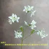 Flor artificial de cuatro hojas, orquídea del viento, decoración para salón de bodas, flores artificiales para sala de estar, decoración del hogar, flores artificiales decorativas, materiales florales de comercio exterior