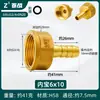Conector de Latão com Rosca Interna e Espigão de 4/6 Polegadas para Mangueira de Gás Natural, Adaptador Roscado Reto Espessado, Conexão de Cobre